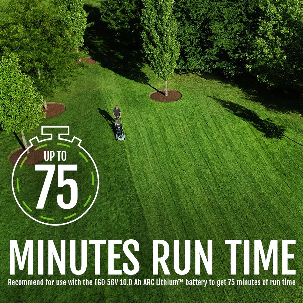 ego_ace_lm2150sp_75_runtime_disclaimer_eng_1000_72dpi